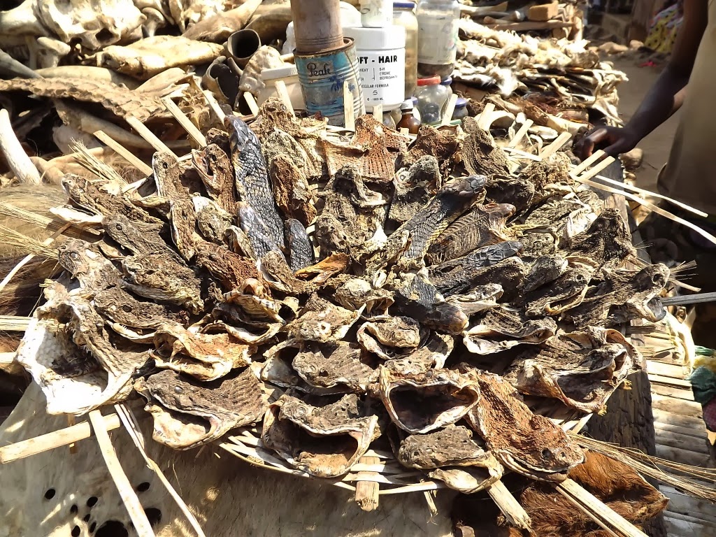 Segniagbeto et al   03